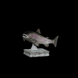 render.gif rainbow trout / Oncorhynchus mykiss fish in motion trophy statue detailed texture for 3d printing