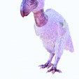 tinywow_VIDEOOO_37328493-fictic.gif DOWNLOAD DINOSAUR DINOSAUR Terror DOWNLOAD Bird 3D MODEL Terror Bird Terror Bird ANIMATED - BLENDER - 3DS MAX - CINEMA 4D - FBX - MAYA - UNITY - UNREAL - OBJ - Terror Bird RAPTOR DINOSAUR RAPTOR DINOSAUR DINOSAUR 3D Terror Bird