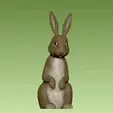 BUNNY-1.gif Bunny Rabbit