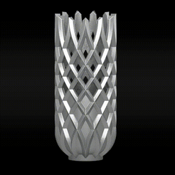 Vase9.gif Télécharger fichier STL Vase9 • Design pour imprimante 3D, Piggsy