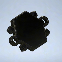 Video_1645636096.gif Fichier STL tortue coccinelle・Design pour imprimante 3D à télécharger, guvenonru