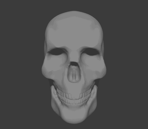 Skull