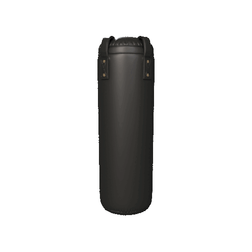Realistic Punching Bag 3D Model