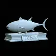 Tuna-model-2.gif fish tuna bluefin / Thunnus thynnus statue detailed texture for 3d printing