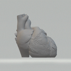 Unbenannt-1.gif Datei STL Anatomical Heart Vase・Modell für 3D-Druck zum herunterladen