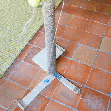 Print in Place - Pet-Puzzle / Cat-Toy / Food dispenser