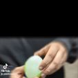 ezgif.com-crop.gif Yoshi Breakable Surprise Egg [Egg Only]