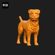 279-Border_Terrier_Pose_03.gif Border Terrier Dog 3D Print Model Pose 03