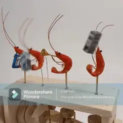 Ma-vidéo.gif Dancing shrimp