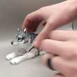 ezgif.com-optimize-1.gif Flexi Wolf, Print-in-place, Articulated wolf