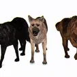tinywow_1-German-Shepherd_31689333.gif DOG DOG DOWNLOAD German Shepherd 3d model animated for blender-fbx-unity-maya-unreal-c4d-3ds max - 3D printing DOG DOG DOG WOLF POLICE PET HUNTER RAPTOR