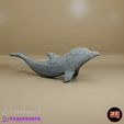 Delfin-2.gif Dolphin 3d low poly jigsaw puzzles