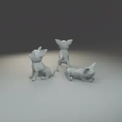 chihuahua.gif Low polygon chihuahua 3D print model  in three poses