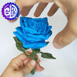 ROSAS - FLEXI - NON SUPPORT-PLACE STL