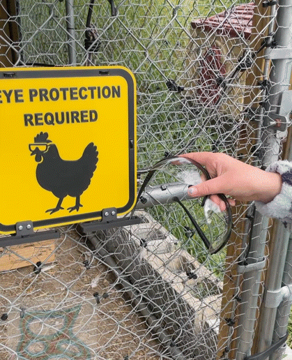 Safety Chicken Eye Protection Required Sign - 3D model önizlemesi