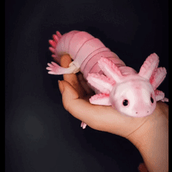 lv_0_20220317010358.gif STL file Articulated axolotl・Design to download and 3D print, MarckR