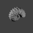 ammonite4-gif.gif Fichier 3D Ammonites・Plan pour imprimante 3D à télécharger, eman1030b