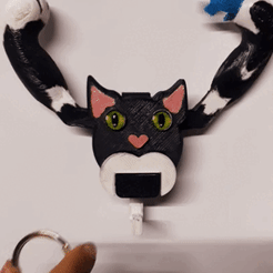 Video.gif Porte-clés mural chat mobile