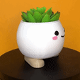 Video_03.gif Cheerful Smiling Pot – Perfect for Succulents