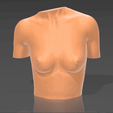 01.gif STL file Bust 02・3D printing template to download, Mister_lo0l_