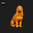 105-Basset_Bleu_de_Gascogne_Pose_06.gif Basset Bleu de Gascogne Dog 3D Print Model Pose 06