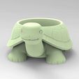 Turtle.342.mp4 Turtle Pot