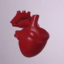 ezgif.com-gif-maker-93.gif Archivo STL Corazón humano・Diseño de impresión en 3D para descargar