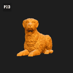 536-Curly_Coated_Retriever_Pose_08.gif Archivo STL Curly Coated Retriever Perro Impresión 3D Modelo Pose 08・Diseño para descargar y imprimir en 3D