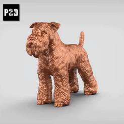 00.gif Archivo STL wheaten terrier V3・Modelo para descargar y imprimir en 3D, peternak3d