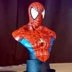Bust Spiderman, NeverCountry