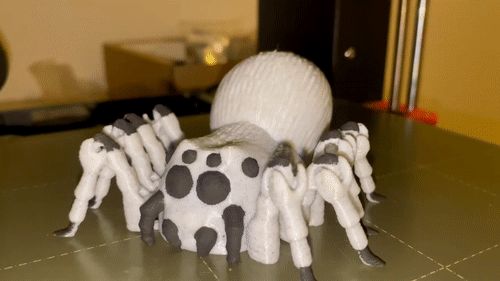 IMG_4292.gif flexi spider / portia / print in place / 3Dprint