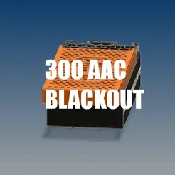 300.gif 300 AAC/Blackout 100x storage fits inside 7.62 NATO ammo can