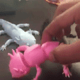 giphy.gif Download STL file Axolotl Flexible Articulated • Object to 3D print, octmunoz3d
