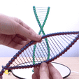 완-gif1.gif Archivo STL Hermosos puentes ADN・Diseño de impresión en 3D para descargar