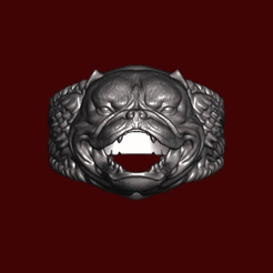 gif.gif STL file 3D Exotic Bully Ring・Model to download and 3D print