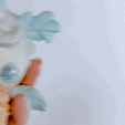 20231011_042804178_iOS.gif Motte Pixie