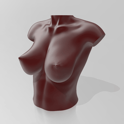 01.gif Fichier STL Buste 09 - STL 3D Printer・Modèle à imprimer en 3D à télécharger
