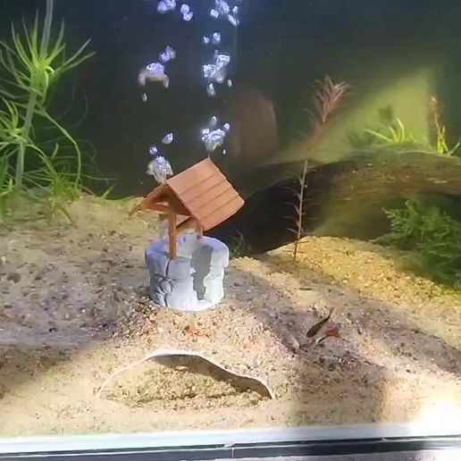 CUEVA-PAEA-ACUARIO-CON-SISTEMA-DE-OXIGENACION-Y-CIRCULACION.mp4 AQUARIUM CAVE IN THE FORM OF A WATER WELL / WITH CIRCULATION AND OXYGENATION SYSTEM