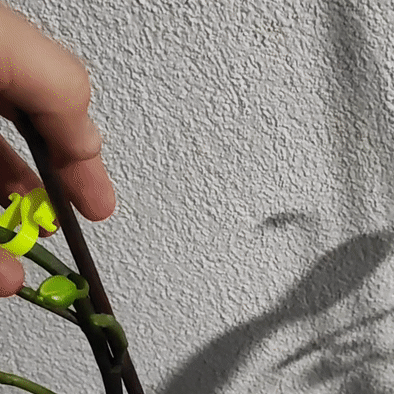 planter-holder.gif Porte-plante