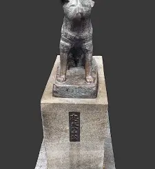 hachiko5.gif Hachiko statue, scanned on site.