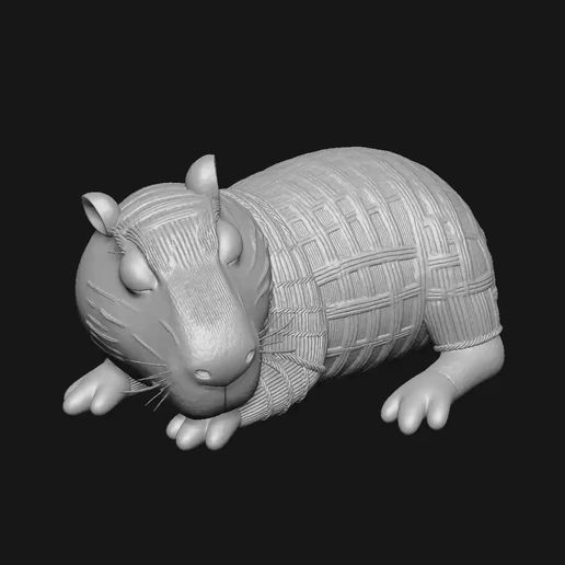 bandicam-2025-10-10-17-12-39-505.mp4 Carpincho