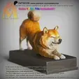 Shiba-Inu-Stretching.gif Shiba Inu -柴犬-stretching pose- STL & VRML Color Format(shapeway compatible) !- Dog Breed/Canine Collection - Running  Pose - 3D PrintModel