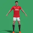 Video_2023-07-17_225118.gif 3D Rigged Harry Maguire Manchester United 2024