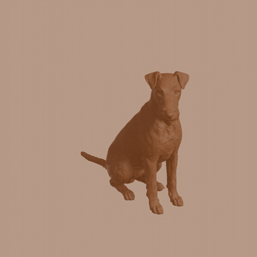 Irish Terrier Dog in Sitting Pose
