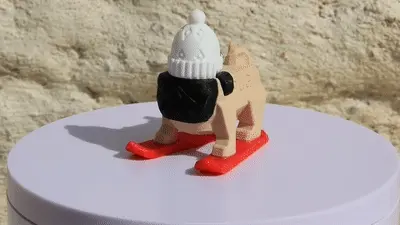 CARLIN ON SKI