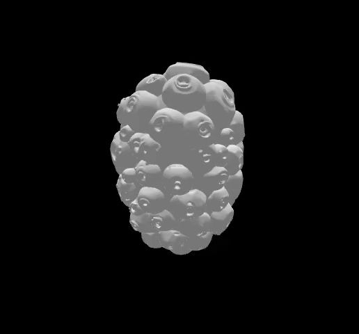 Blackberry.mp4 Abstract Bumpy Fruit