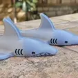 Shark-Slideshow.gif Shark