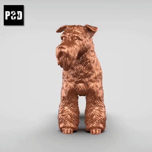 schnauzer V1 3D model