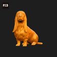 140-Basset_Hound_Pose_05.gif Basset Hound Dog 3D Print Model Pose 05