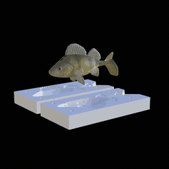 okoun-kopyto-13cm-ploutev.gif STL file AM bait perch 2.0 fish 13cm hoof form for predator fishing・Template to download and 3D print